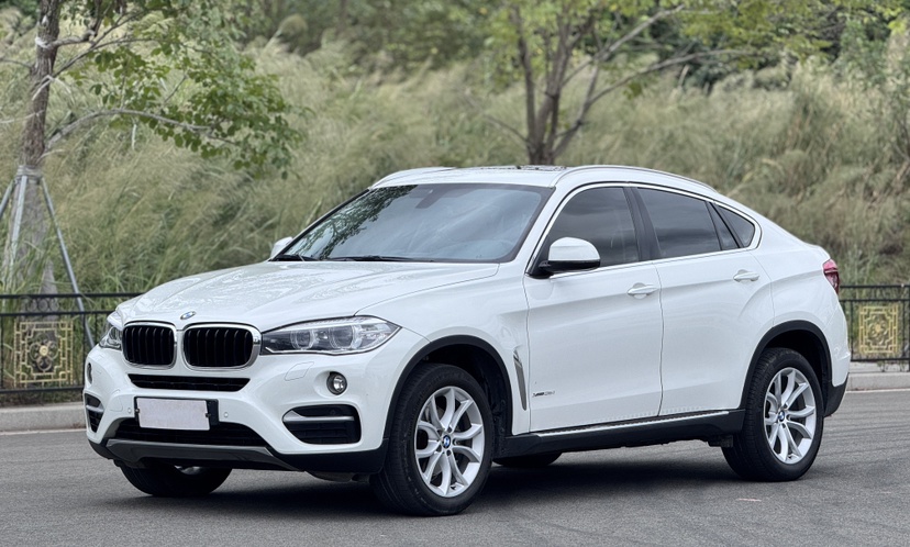 2020款 宝马X6(进口) xDrive40i M运动 墨规图片