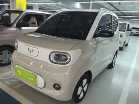 五菱汽车 宏光MINIEV 2024款 第三代 215km 进阶版