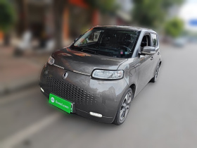 欧拉白猫 2020款 305km 豪华型