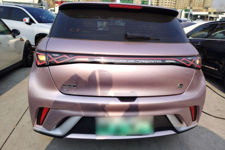 比亚迪 海豚 2023款 420km 时尚版车身外观6