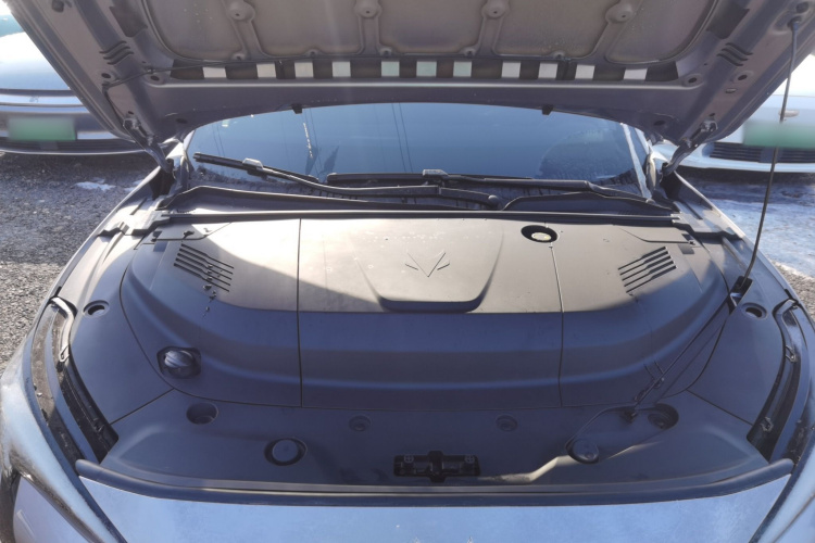 ARCFOX极狐 极狐 阿尔法S5 2025款 改款 560PRO 185kW机舱底盘24