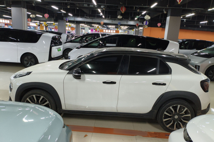 领克02 2021款 2.0TD 自动两驱劲 冠军版车身外观4