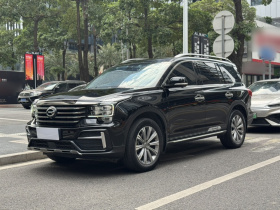 广汽传祺 传祺GS8 2020款 390T 四驱豪华智联纪念版（七座）