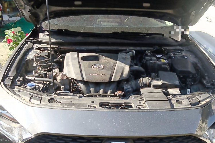 马自达3 昂克赛拉 2020款 1.5L 自动质悦天窗版局部细节24