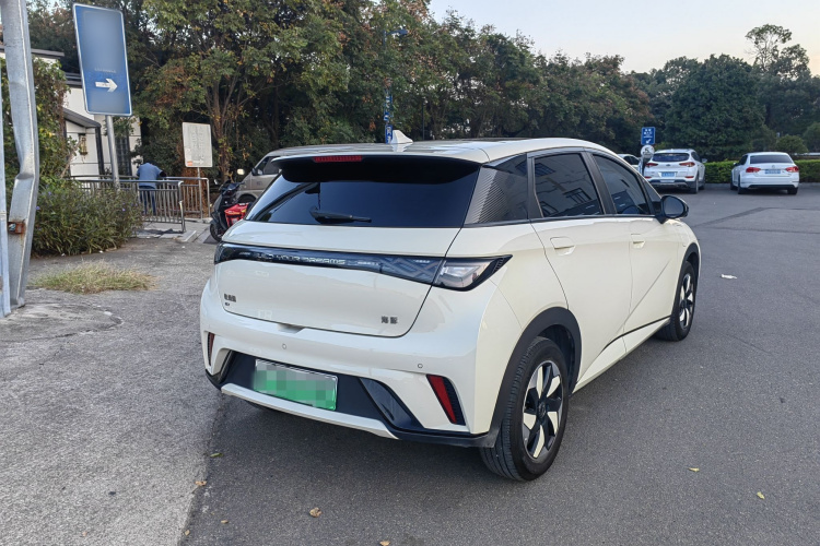 比亚迪 海豚 2024款 荣耀版 420km 时尚版车身外观6004