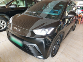 比亚迪 海鸥 2023款 自由版