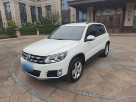 大众 途观 2013款 1.8TSI 自动两驱舒适版