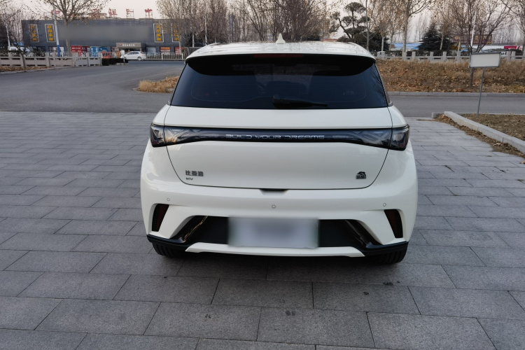 比亚迪 海豚 2023款 420km 时尚版车身外观6004