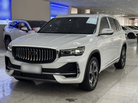 吉利汽车 星越L 2024款 2.0TD DCT EVO两驱长风版