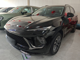 别克 2024款 昂科威S  25T 炫黑风尚版