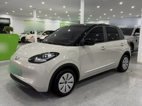 五菱汽车 五菱缤果 2024款 203km 轻享款