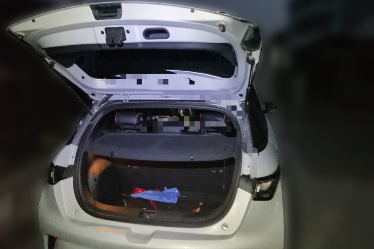 比亚迪 海豚 2021款 405km 自由版局部细节23