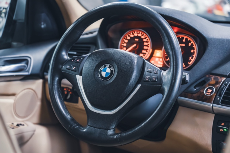 宝马X5(进口) 2011款 xDrive50i 领先型局部细节13