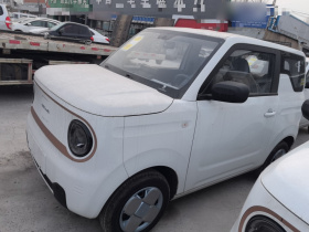 吉利银河 2024款 熊猫mini 200km 耐力熊