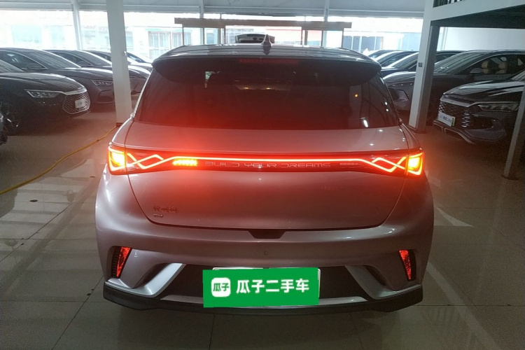 比亚迪 海豚 2021款 401km 骑士版车身外观6004