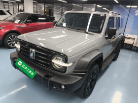 坦克300 2024款 2.0T 挑战者