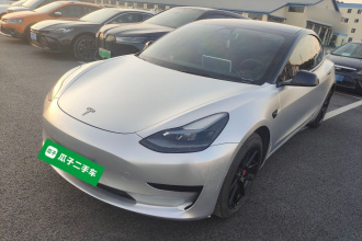 特斯拉 Model 3 2021款 改款 标准续航后驱升级版 3D1