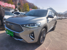 哈弗F7x 2021款 2.0T 两驱极智科技版