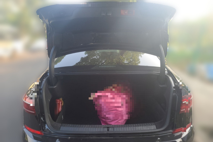 大众 帕萨特 2023款 330TSI 星空精英版中控内饰23