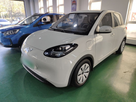 五菱汽车 五菱缤果 2023款 333km 快享款