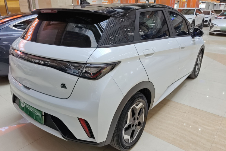 比亚迪 海豚 2021款 405km 时尚版车身外观7