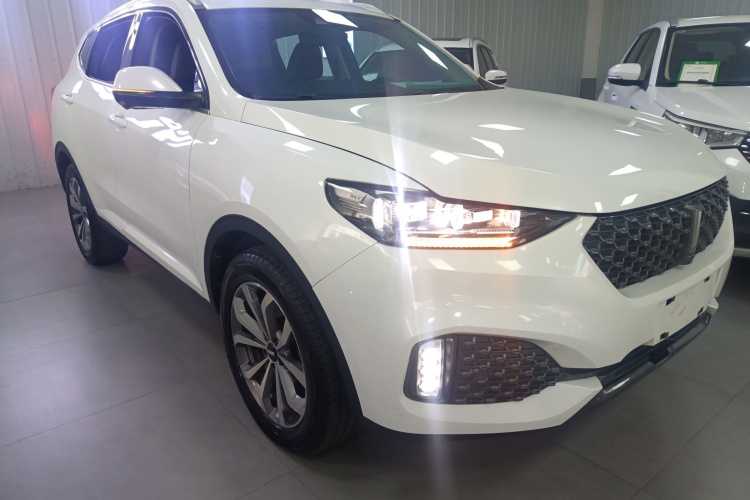 魏牌 VV6 2020款 2.0T 两驱智护+车身外观3