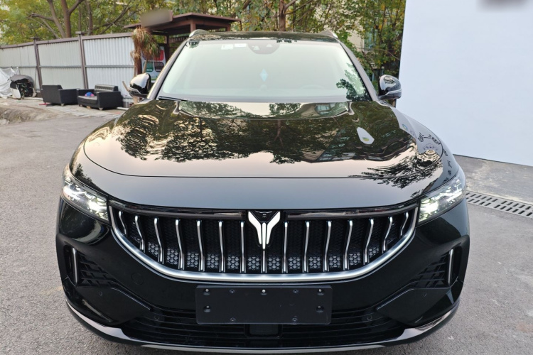 岚图汽车 岚图FREE 2021款 两驱标准纯电城市版车身外观2