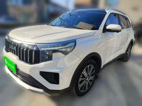 起亚 智跑 2021款 Ace 2.0L 挑战版