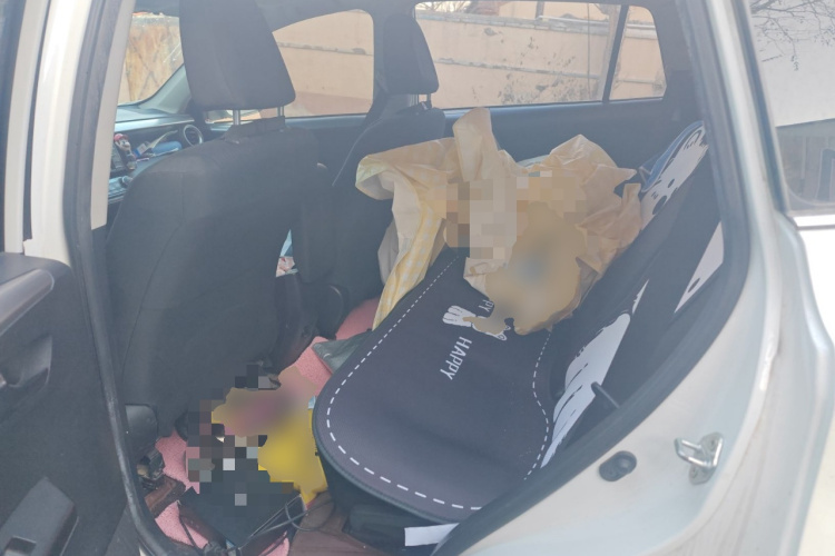 丰田 RAV4荣放 2019款 2.0L CVT两驱舒适版 国VI中控内饰21