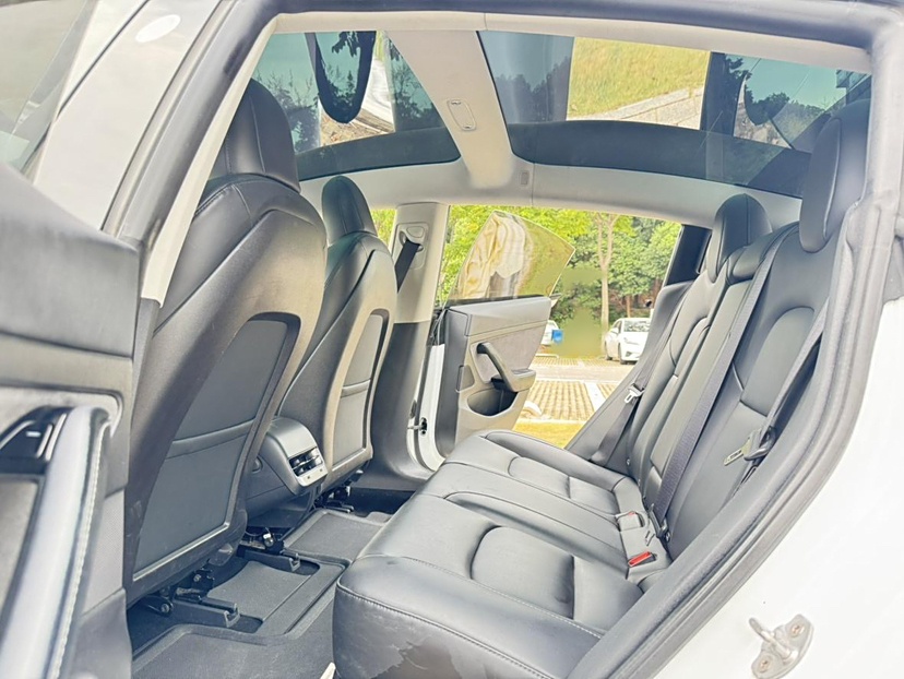 特斯拉 Model 3 2019款 标准续航后驱升级版