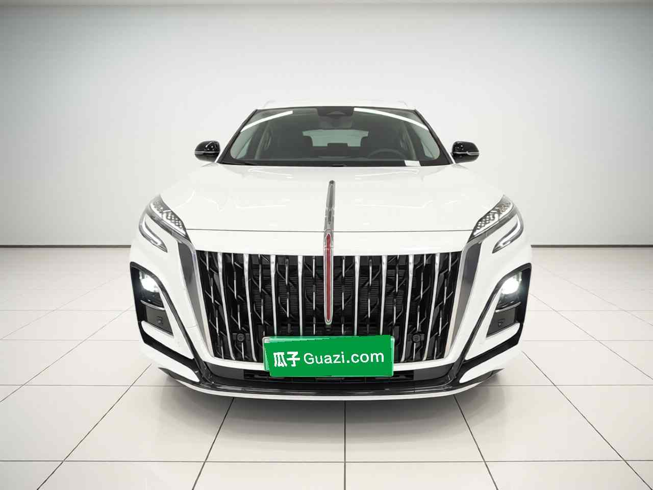 红旗HS3 PHEV 2025款 117km 劲为版(1)