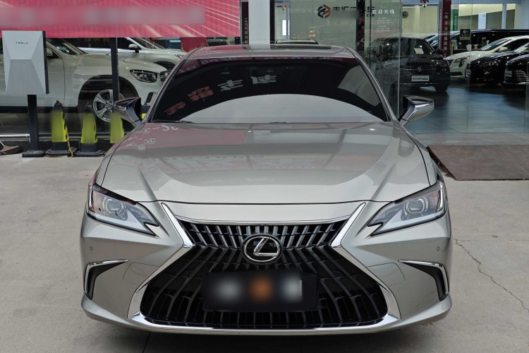 雷克萨斯ES 2021款 200 卓越版车身外观6002