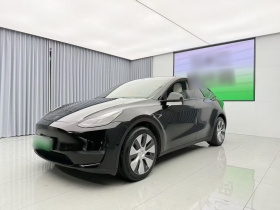 特斯拉 Model Y 2022款 长续航全轮驱动版