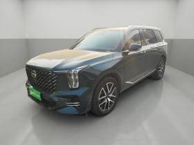 广汽传祺 传祺GS8 2022款 领航系列 2.0TGDI 两驱尊享版（七座）