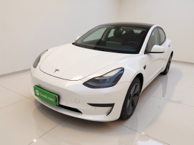 特斯拉 Model 3 2020款 改款 标准续航后驱升级版