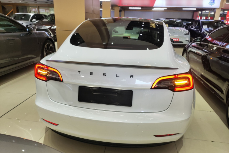 特斯拉 Model 3 2021款 Performance高性能全轮驱动版 3D6车身外观6