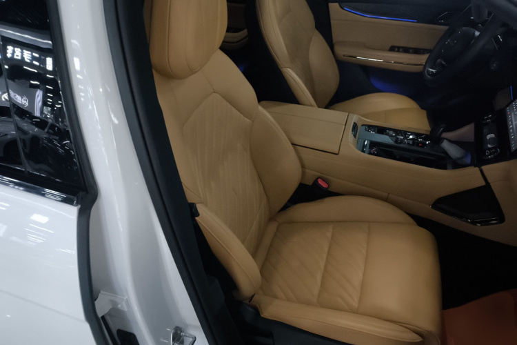 领克09 EM-P 2021款 2.0T PHEV Halo 六座局部细节41