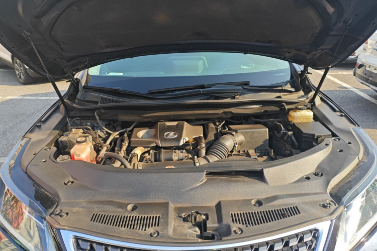 雷克萨斯RX 2020款 300 两驱精英版 国VI机舱底盘24