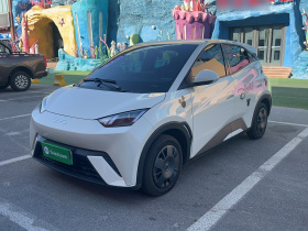 比亚迪 海鸥 2025款 305km 活力版