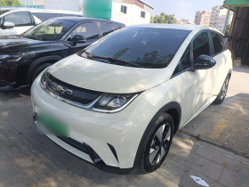 比亚迪 海豚 2023款 420km 时尚版