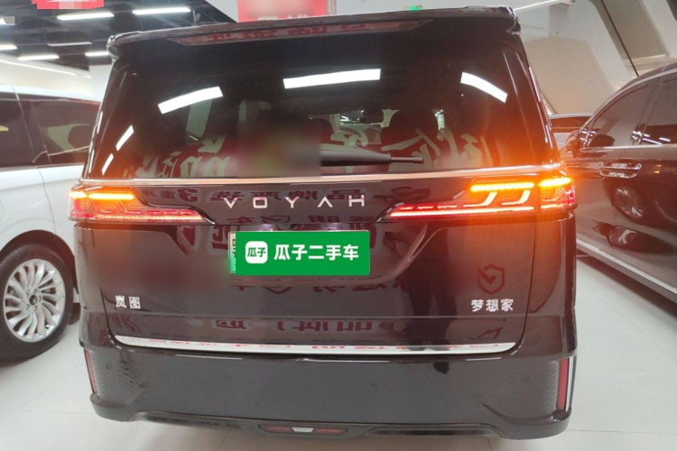 岚图汽车 岚图梦想家 2022款 低碳版 想+智驾包车身外观6004