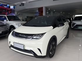 比亚迪 海豚 2021款 405km 自由版