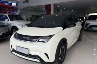 比亚迪 海豚 2021款 405km 自由版