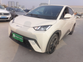 比亚迪 海鸥 2023款 自由版