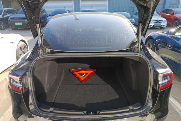 特斯拉 Model 3(进口) 2019款 长续航后驱版局部细节23