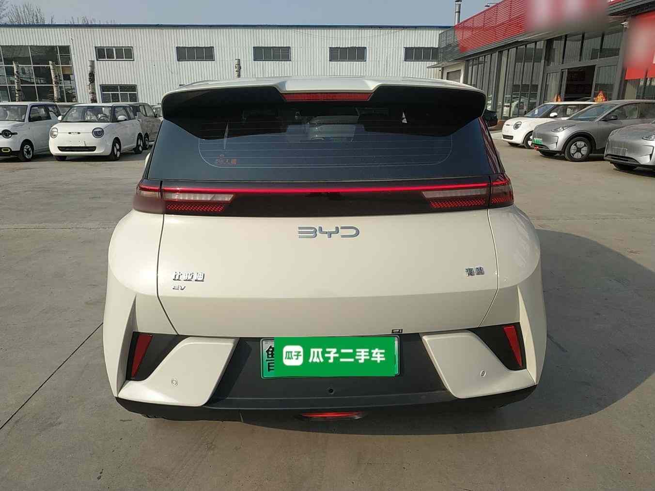 比亚迪 海鸥 2025款 智驾版 305km 活力版(4)