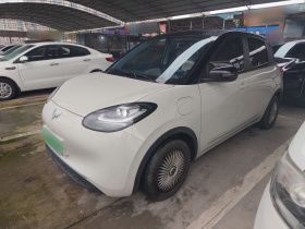 五菱汽车 五菱缤果 2024款 203km 轻享款