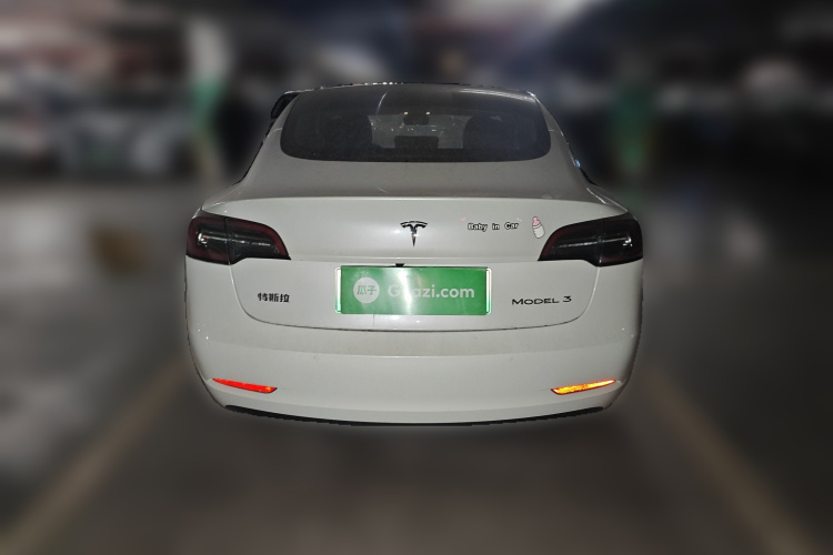 特斯拉 Model 3 2020款 改款 长续航后轮驱动版车身外观6004