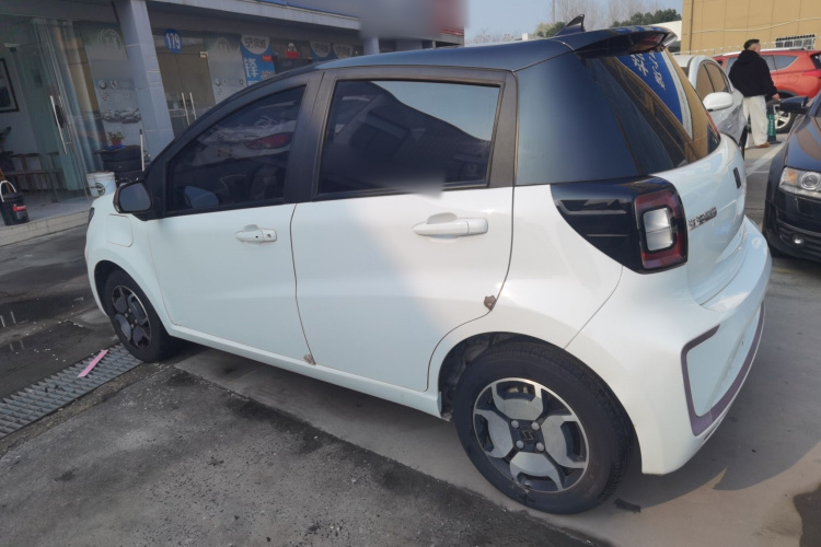 思皓 2022款 花仙子款 四叶草车身外观6003