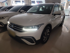 大众 途观L 2022款 330TSI 自动两驱舒享版